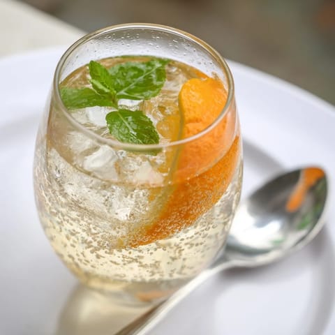 Chilled probiotic soda mocktail garnished with orange slices and aromatic mint.  
